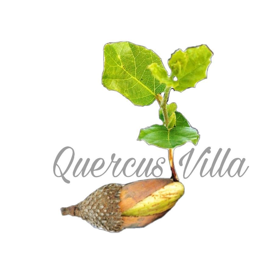 Quercus Villa Sesimbra Exterior photo